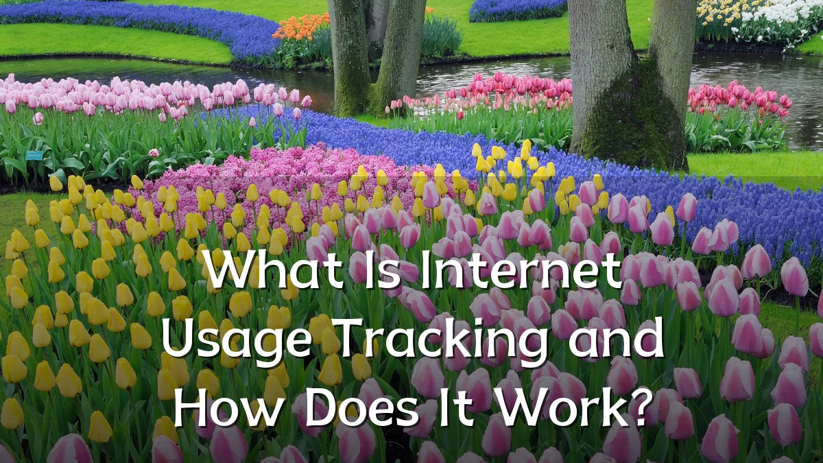 What Is Internet Usage Tracking and How Does It Work?