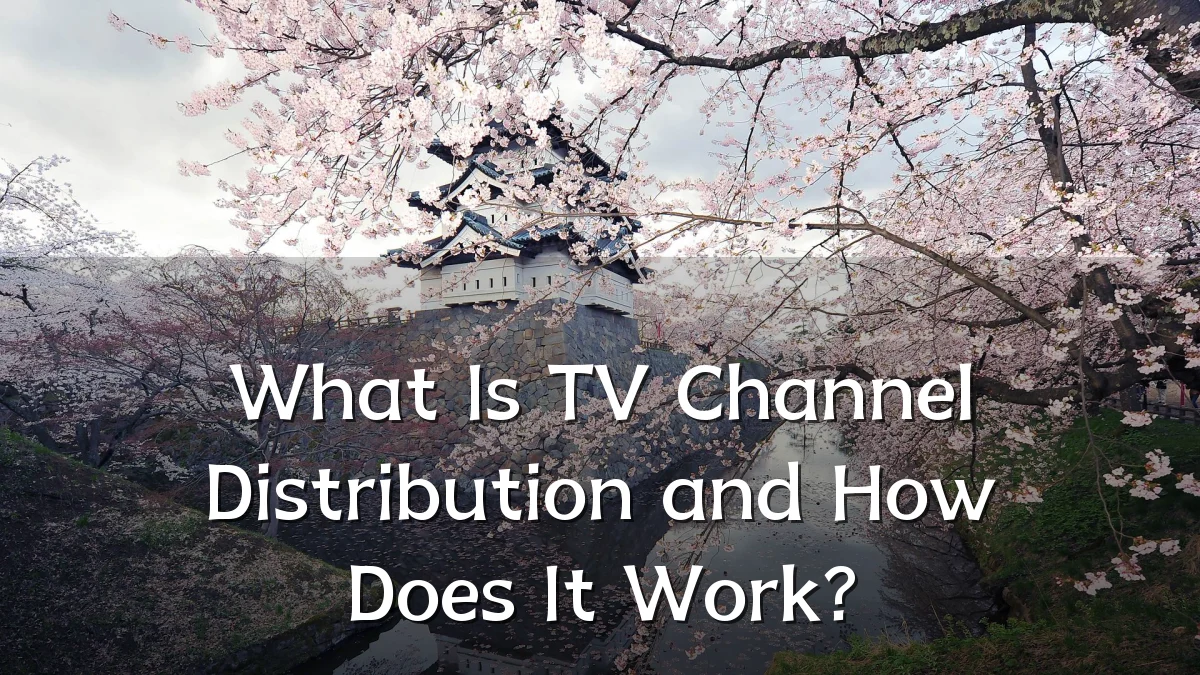 What Is TV Channel Distribution and How Does It Work?