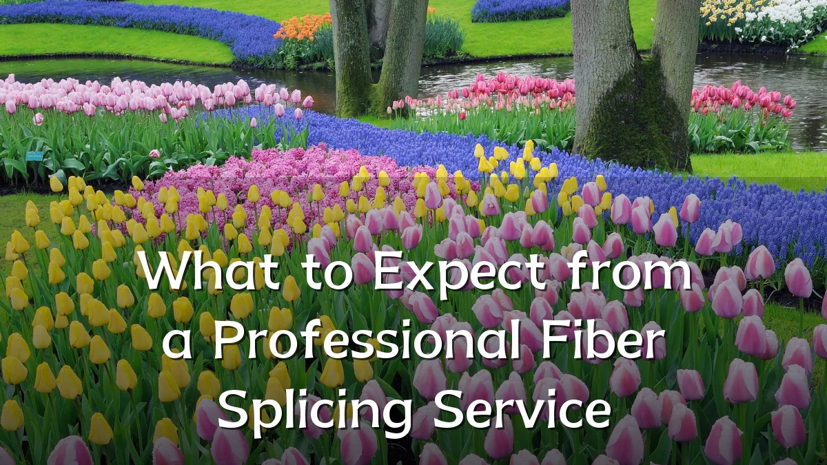 What to Expect from a Professional Fiber Splicing Service