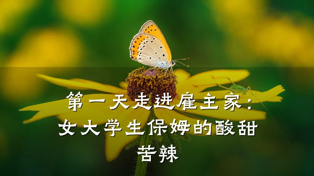 第一天走进雇主家：女大学生保姆的酸甜苦辣